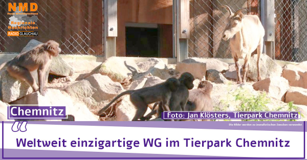 Chemnitz - Weltweit einzigartige WG im Tierpark Chemnitz