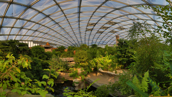 Leipzigs Regenwald, 10 Jahre Gondwanaland eine Erfolgsgeschichte